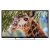 Телевизор LED PolarLine 32" 32PL54TC-SM черный Телевизор LED PolarLine 32" 32PL54TC-SM черный