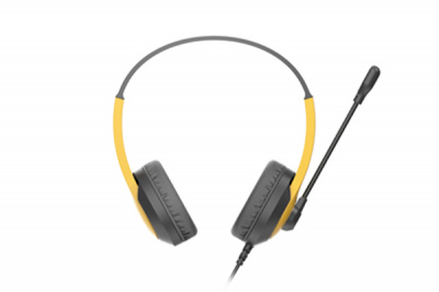 �������� � ���������� A4Tech Fstyler FH100U ������/������ 2� ��������� USB �������� (FH100U)