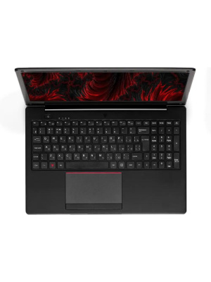   15, 15.6" (1920x1080) IPS/Intel Core i5-10210U/8  DDR4/256  SSD/Intel UHD Graphics/ ,  (164639)
