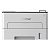   Pantum P3010D