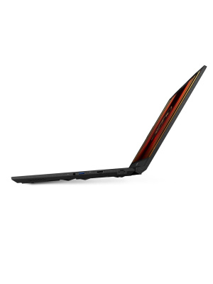 ������� MSI Katana 17 B2RVEK-1617XRU, 17.3" (1920x1080) IPS 144 ��/Intel Core 7 240H/16 �� DDR5/1024 �� SSD/NVIDIA GeForce RTX 4050 ��� ��������� (6 ��)/��� �������, ������ (9S7-17L591-1617)