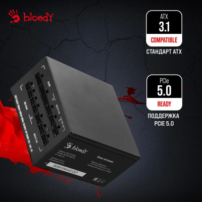 ���� ������� Bloody ATX 1000W BD-PS1000G 80+ gold (20+4pin) APFC 140mm fan 12xSATA Cab Manag RTL