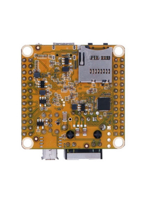  RockPi S D2 RK3308/256Mb DDR3