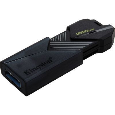 ���� ���� Kingston 256Gb DataTraveler Exodia Onyx DTXON/256GB USB3.2 ������