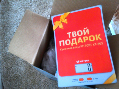 ������� ������ Kitfort KT-1004-1