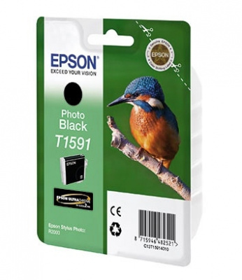 �������� EPSON C13T15914010 ��� R2000 (black)
